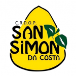 logo_san_simon_da_costa
