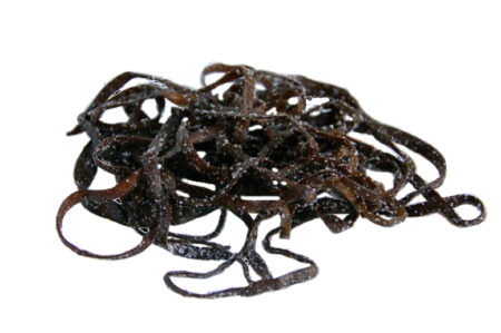 Fresh seaweed in bulk salt ( Kg ): Sea Spaghetti