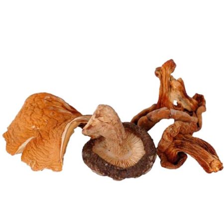 Setas deshidratadas (KG): Rebozuelo (Cantharellus cibarius)